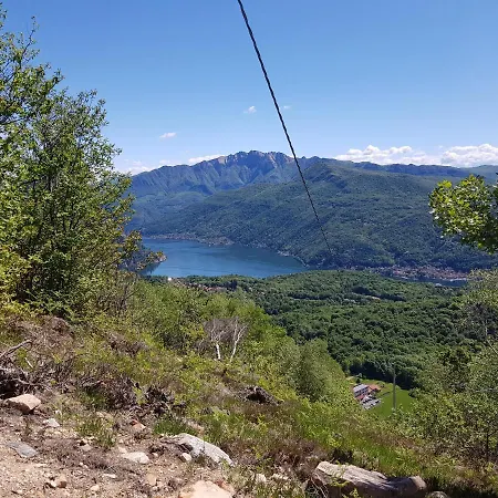 Paradiso فيلة