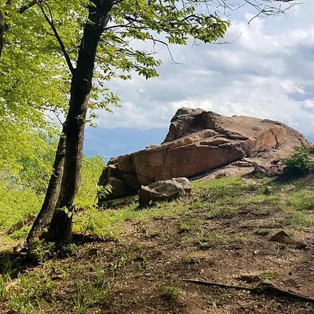 Paradiso