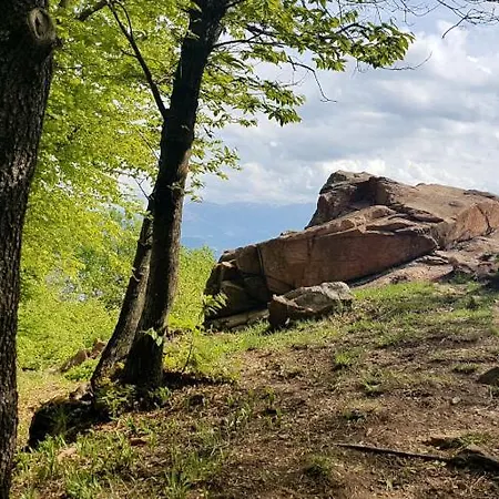 Paradiso