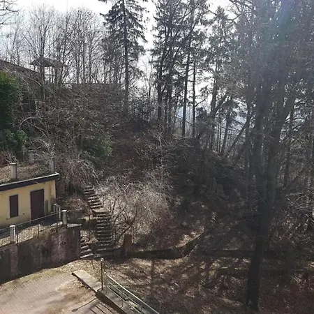 Paradiso